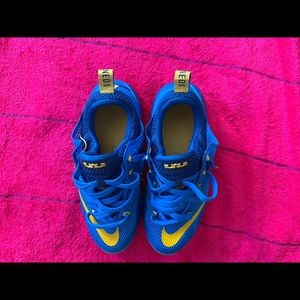 Blue and Yellow LeBrons 12’s